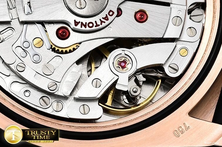 1020 ROLDYT0248B -Daytona FashionForward 902